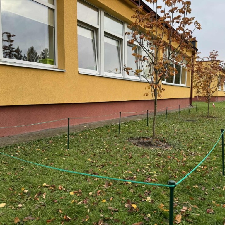 lauko pieva